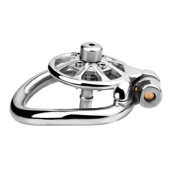Versatile Flat Chastity Cage with Removable Spikes and Silicone / Metal Catheter — product image 18