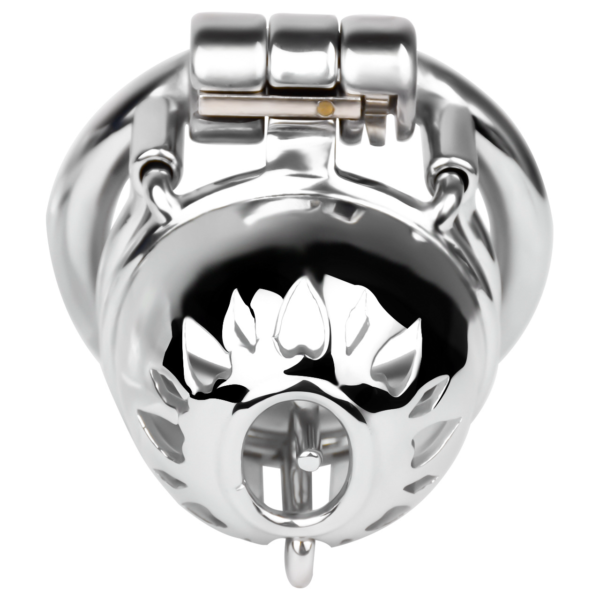 Micro Fit PA Chastity Cage for Prince Albert Piercing — product image 7