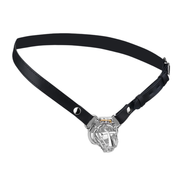 HolyLock Metal Chastity Cage — product image 8