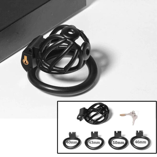PA Prince Albert Chastity Cage with 4 Rings — image 5 PA Prince Albert Chastity Cage with 4 Rings — product image 5