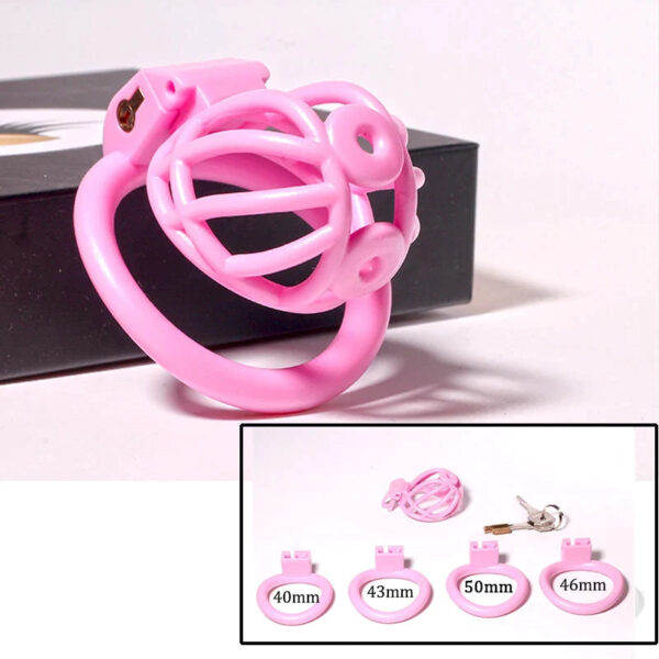 PA Prince Albert Chastity Cage with 4 Rings — image 6 PA Prince Albert Chastity Cage with 4 Rings — product image 6