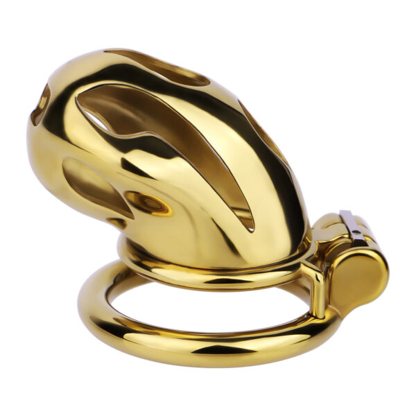 Gold Metal Classic Chastity Cage – S / M / L — product image 21